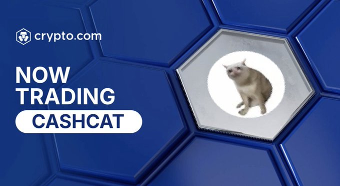 A promotional graphic from Crypto.com announces 'NOW TRADING CASHCAT', featuring a photo of a cat within a hexagonal white frame against a blue honeycomb background.