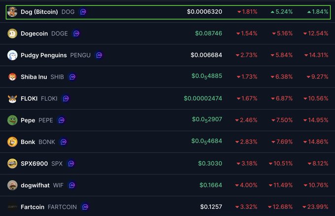 A table of Bitcoin prices displaying the current values for dogs, penguins, shiba innu, floki, flokk, pepe, ..., pep8, bnx, rakuten, pypi (with a red and green shading scheme).