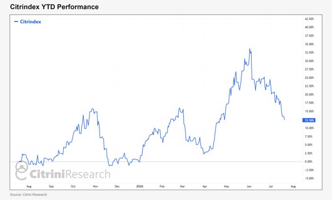 **Caption:** A line chart titled "Citirindex YTD Performance" tracking an index (ticker: **$CIR**) from August through July, peaking around **+35%** in June before pulling back to roughly **12.50%**.

**How it relates to the post:** The comment jokingly suggests "buying the dip" once the chart hits zero—but the chart shows the index is still up meaningfully YTD (around +12.5%) and nowhere near zero, highlighting the absurdity of treating every pullback as a buying opportunity regardless of context.