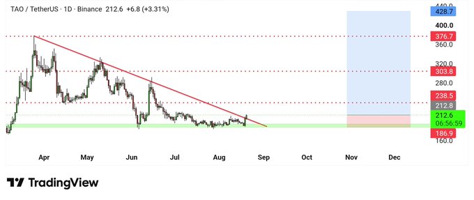 The image displays a TradingView daily candlestick chart for TAO/TetherUS on Binance, showing a downtrend with a red descending trendline from April to August, with the current price at 212.6 (+3.31%). Key resistance levels are marked at 376.7, 303.8, and 428.7, while support zones appear near 186.9 and a green highlighted area around 212-238, suggesting potential price zones for the $TAO cryptocurrency.