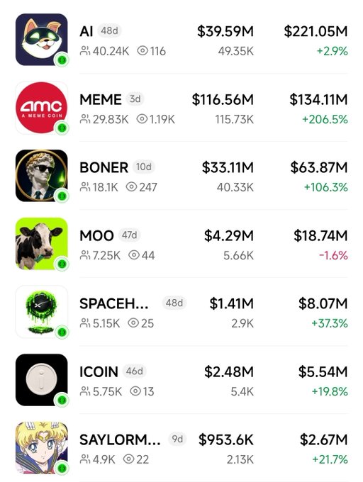 A cryptocurrency listing showing meme coins including AI ($39.59M, +2.9%), MEME ($116.56M, +206.5%), BONER ($33.11M, +106.3%), MOO ($4.29M, -1.6%), SPACEH ($1.41M, +37.3%), ICOIN ($2.48M, +19.8%), and SAYLORM ($953.6K, +21.7%) with their respective market caps and 24-hour changes.