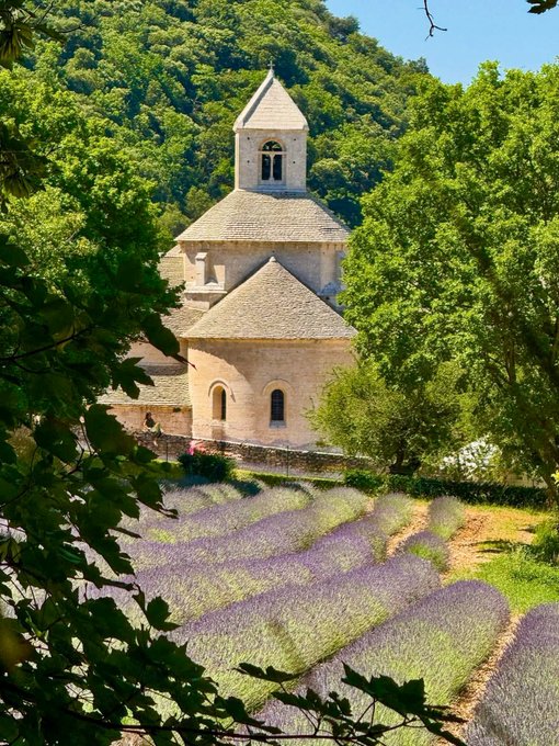 A historic stone church or abbey with a domed roof sits nestled among lush green trees, overlooking a vibrant field of blooming lavender in the foreground.