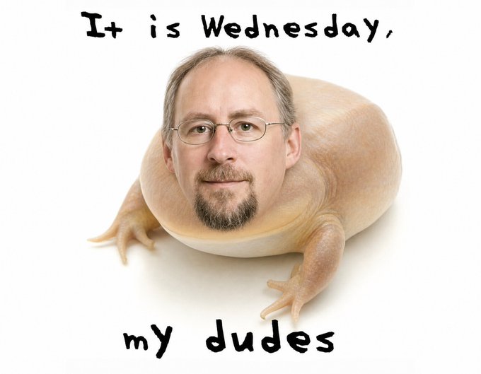 A meme image showing a man's face photoshopped onto a frog's body with the text 'It is Wednesday, my dudes' — a reference to the 'Wednesday my dudes' frog meme.