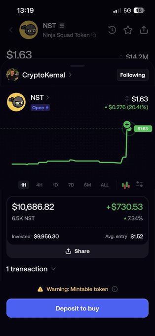 Mobile screenshot of the Ninja Squad Token (NST) trading page showing a price of $1.63 (+$0.276, 20.41%) with a profit of +$730.53 (7.34%) on a $9,956.30 investment.