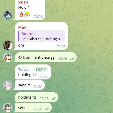 Telegram chat screenshot showing users Sejan, Madi, and Telcier (admin) coordinating with messages like 'Hold 4', 'Boeeroe he is also celebrating a... dm', 'holding 11', 'send it', and 'holding 12'.