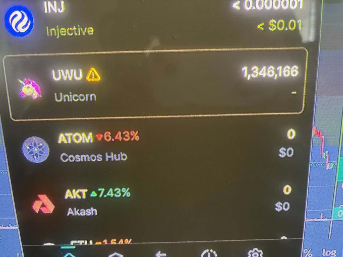 A cryptocurrency portfolio app showing tokens including INJ (Injective), UWU (Unicorn), ATOM (Cosmos Hub) down 6.43%, and AKT (Akash) up 7.43%. The UWU balance shows 1,346,166.