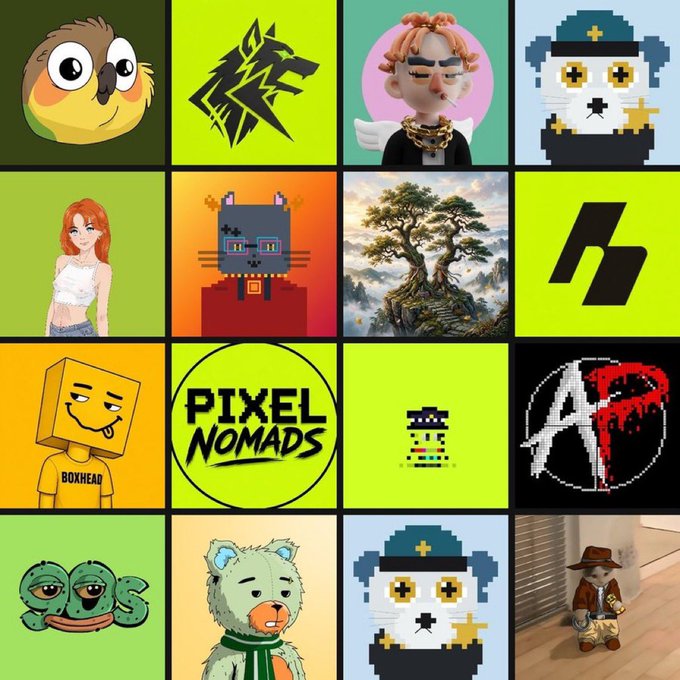 A collage of various NFT profile pictures (PFPs) including owls, pixel art, anime characters, and cartoon designs, with the text 'PIXEL NOMADS' and 'BOXHEAD' visible.