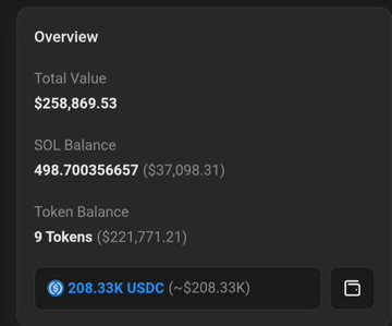 A cryptocurrency portfolio overview displaying a Total Value of $258,869.53, a SOL Balance of 498.700356657 ($37,098.31), and 9 Tokens totaling $221,771.21, with 208.33K USDC shown as a separate balance.