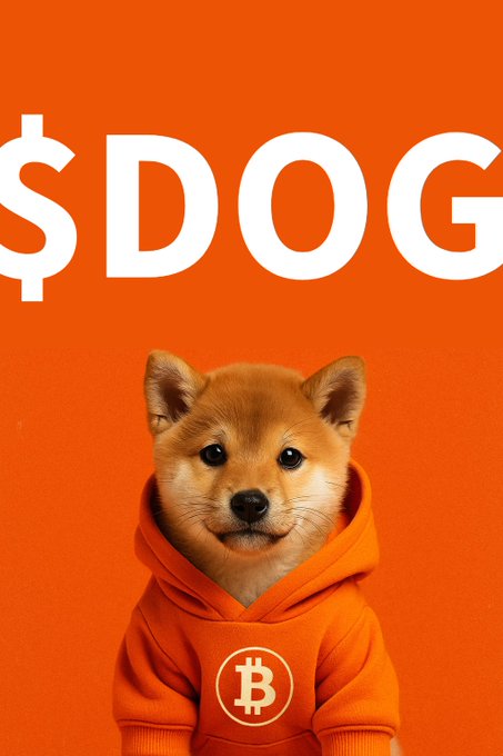 The image features a small brown dog wearing an orange hoodie with the word "dog" written on it, standing against an orange background. Below the dog's head, there is text that reads "$DOG IS FREE AND FAIR!". This message emphasizes the idea of the dog being free and fair in its current situation.

The image also includes a dollar sign symbol, which could be interpreted as a reference to Bitcoin or another form of digital currency. The combination of the dog's hoodie and the Bitcoin symbol creates an interesting visual contrast between traditional concepts like money and the emerging world of cryptocurrency.