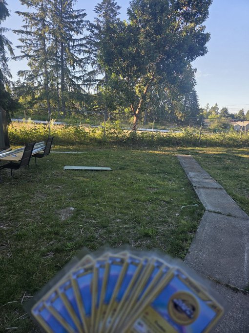 The image shows a person holding up a deck of playing cards, which are likely Pokemon cards, as they appear blurry. The cards are spread out with some overlapping each other. The background features trees and a sidewalk, suggesting that this scene takes place in an outdoor setting like a park or garden.