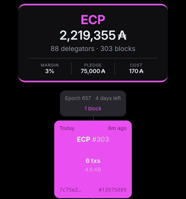 A dashboard interface showing ECP token statistics with 2,219,355 A tokens, 88 delegators, 303 blocks, a 3% margin, 75,000 A pledge, and 170 A cost, along with an ECP #303 block containing 6 transactions (4.6 KB) from Epoch 657.
