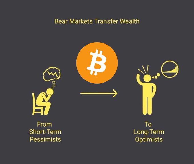 An infographic titled 'Bear Markets Transfer Wealth' showing an arrow moving a Bitcoin symbol from a 'Short-Term Pessimists' figure to a 'Long-Term Optimists' figure.