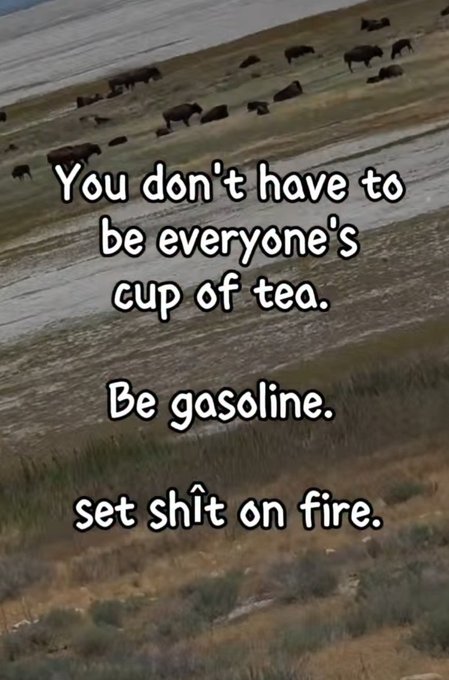 A motivational meme over a background of bison in a field reads: 'You don't have to be everyone's cup of tea. Be gasoline. set shit on fire.'