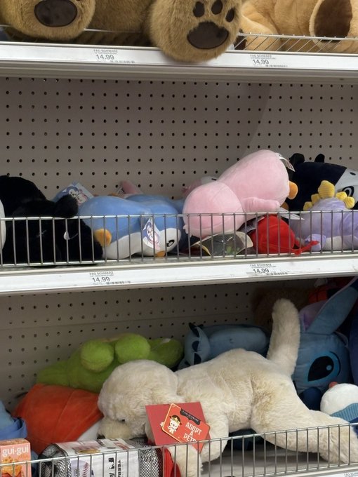 Store shelves stocked with various plush toys including teddy bears, Stitch characters, and other stuffed animals, with price tags showing $14.99 and a tag reading 'AUNT PETS' on a white stuffed dog.