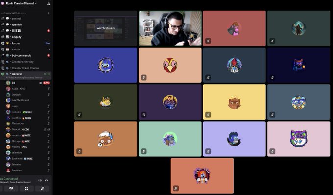 A screenshot of a Discord server called 'Rosie Create Discord' showing a grid of video feeds with various cartoon avatars and a person in the top center.