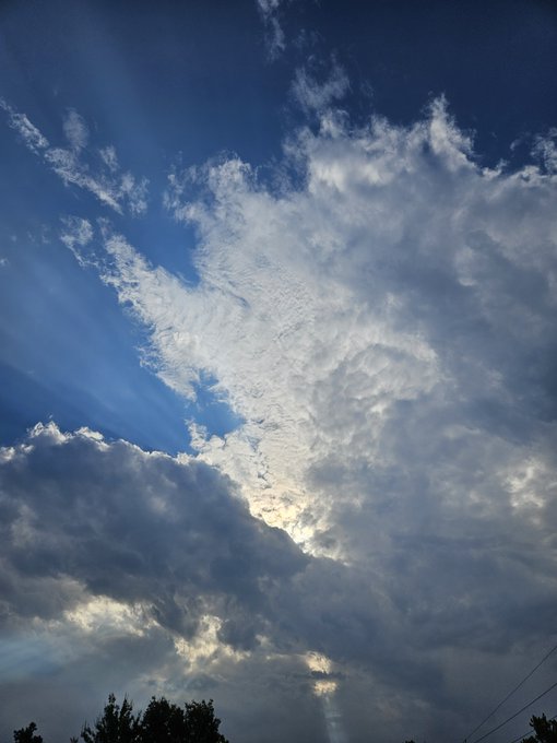 A dramatic sky filled with scattered clouds and sunbeams creates a serene morning atmosphere, complementing the optimistic sentiment of $ADA cryptocurrency holders starting their day. Silhouettes of treetops at the bottom ground the celestial scene, reinforcing the fresh start theme for Cardano investors.