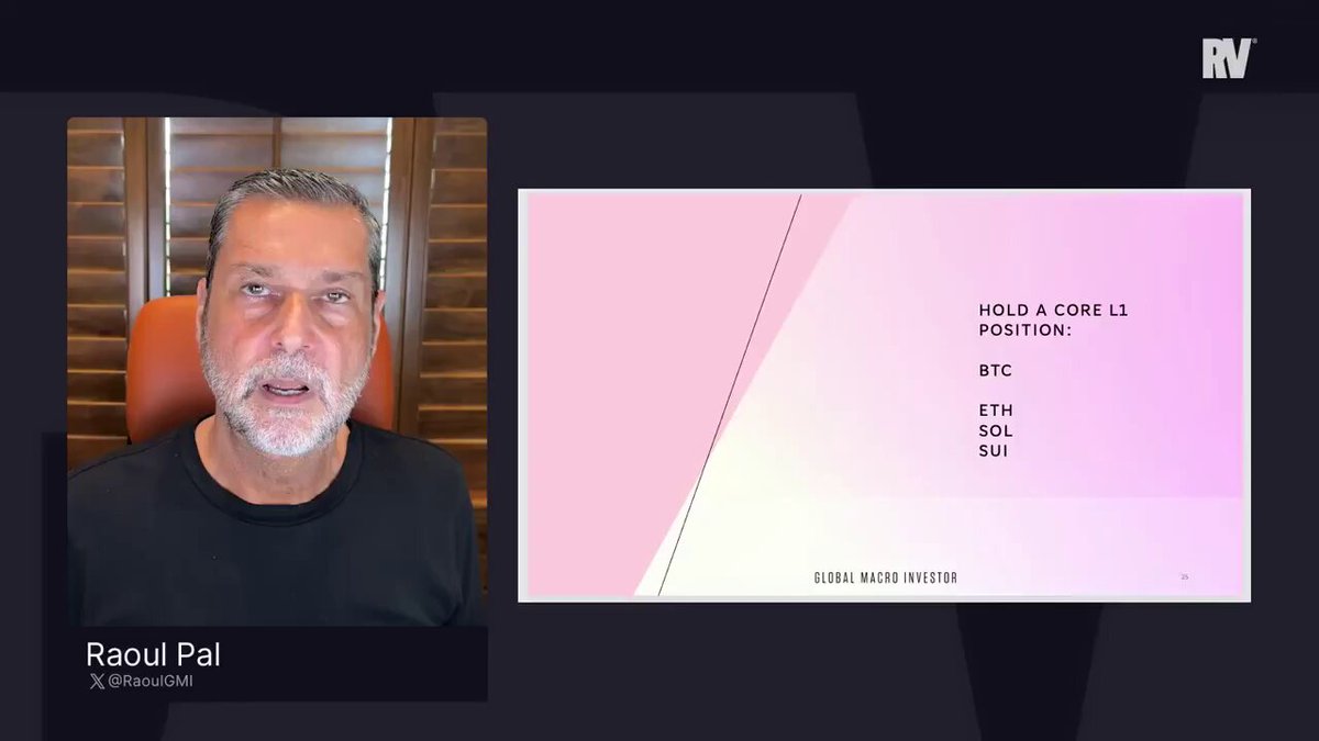The image features an interview with Raoul Pal, who is being interviewed by a reporter from Rv. The background of the image shows a black screen displaying the text "RV" at the top left corner and "Raoul Pal" on the bottom right corner. The main focus of the image is Raoul Pal himself, sitting in front of the camera with his head turned to the side. He appears to be wearing a black shirt.