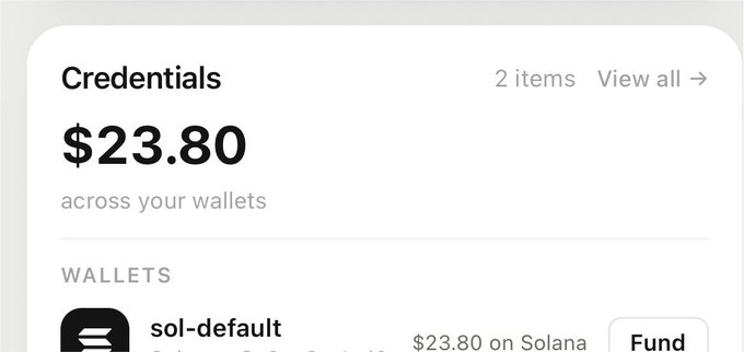 A dashboard screenshot shows a "Credentials" section displaying a total balance of **$23.80** across the user's wallets, with a "sol-default" wallet holding $23.80 on Solana. The modest balance appears to reflect the result of using MoonPay, suggesting a small crypto purchase or transaction was completed through the platform.