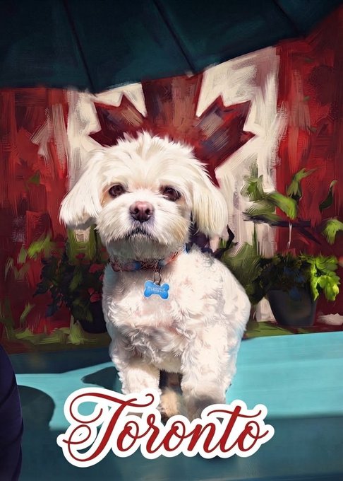 A digitally painted portrait shows a small white dog wearing a blue 'PEACE' bone-shaped tag, sitting under a red maple leaf umbrella with the stylized text 'Toronto' below.