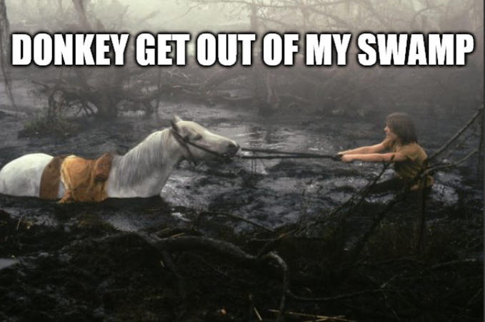 A meme showing a girl pulling a horse (edited to look like a donkey) out of a swamp with the text 'DONKEY GET OUT OF MY SWAMP'.