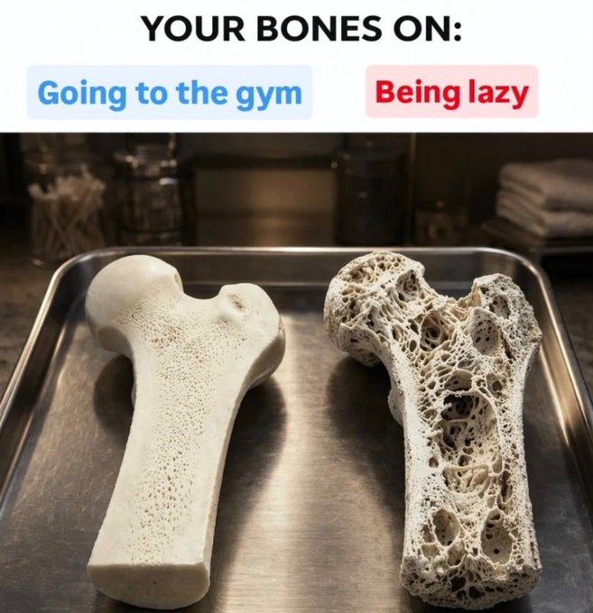 An educational image comparing bone density with the text 'YOUR BONES ON: Going to the gym' vs 'Being lazy', showing a dense bone versus a porous one.
