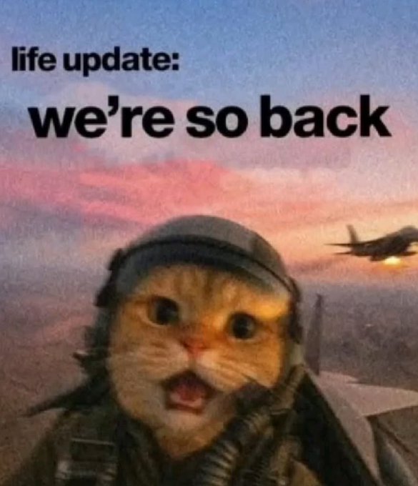 The image is a meme featuring a cat dressed as a fighter pilot with a helmet, set against a sunset sky with an airplane in the background. Text overlay reads "life update: we're so back."

The caption reads: "A meme shows a wide-eyed cat in pilot gear with text 'life update: we're so back,' capturing the triumphant mood of a new week while the post highlights collaborative innovations across Nomisma, Quip, ARCTERMINAL, and Sleepagotchi."

The image's "we're so back" energy complements the post's enthusiastic tone about a fresh start and multiple projects advancing together as one.