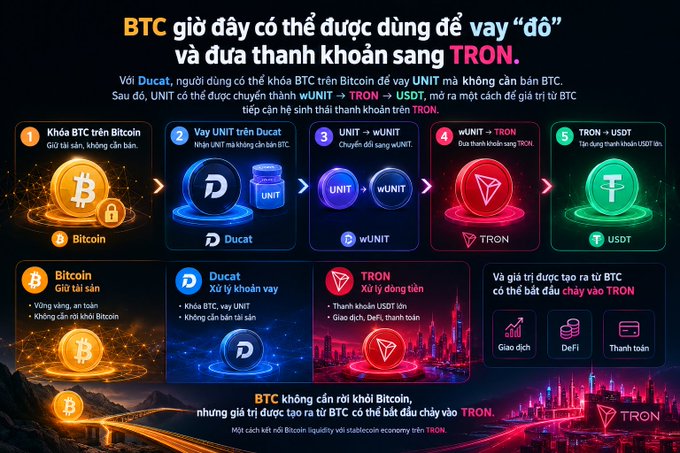 An infographic in Vietnamese explaining how to borrow 'đô' (USD) and exchange to TRON using Bitcoin and Ducat, featuring logos for Bitcoin, Ducat, wUNIT, TRON, and USDT in a 5-step process.