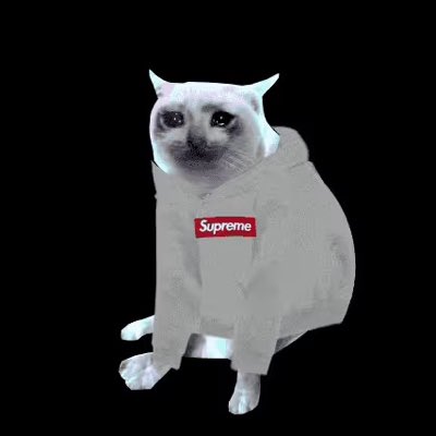 A 3D render of a gray cat wearing a beige Supreme hoodie with the iconic red box logo, sitting against a black background.