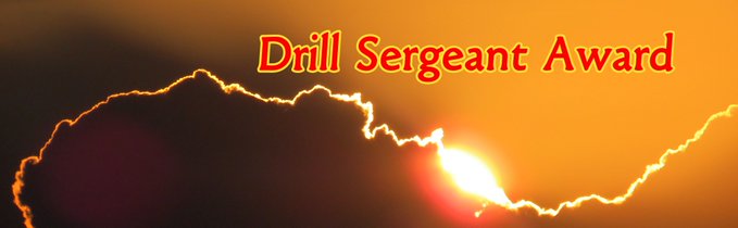 A graphic banner featuring a sunset with the text 'Drill Sergeant Award' in red and yellow lettering.