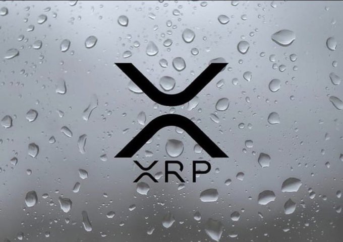 The XRP cryptocurrency logo displayed against a background of water droplets.