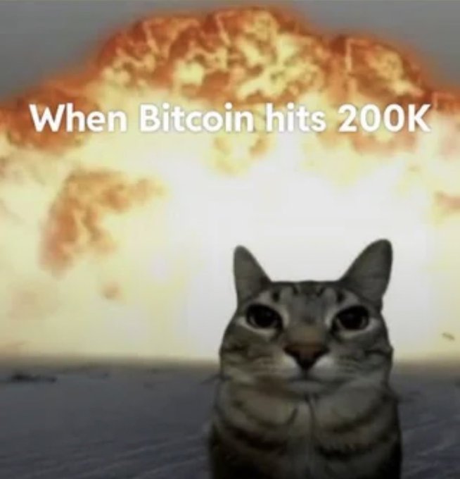 A meme featuring a serious-looking tabby cat in the foreground with a massive nuclear explosion mushroom cloud behind it, overlaid with the text 'When Bitcoin hits 200K'.