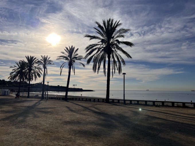 A scenic sunset view at a beachfront promenade with silhouettes of palm trees casting long shadows on the ground, overlooking calm water under a partly cloudy sky.