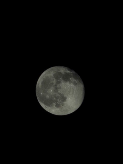 A detailed gray full moon with visible craters and maria is centered against a stark black night sky.
