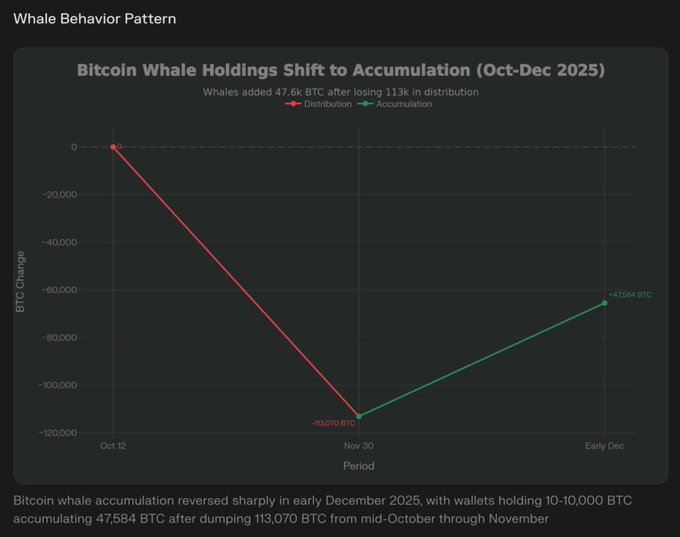 A line chart titled 'Bitcoin Whale Holdings Shift to Accumulation (Oct-Dec 2025)' showing whales dumping 113,070 BTC between mid-October and late November before accumulating 47,584 BTC by early December.