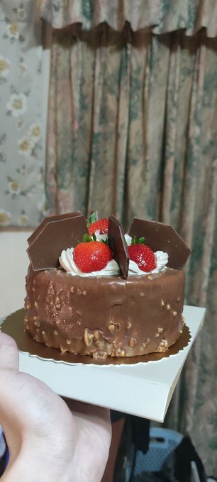 A hand holds a small chocolate cake decorated with strawberries, whipped cream, and chocolate pieces, set against a background of floral curtains.