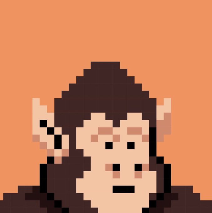 A pixel-art portrait of a character with long dark hair and pointed ears against a solid orange background.