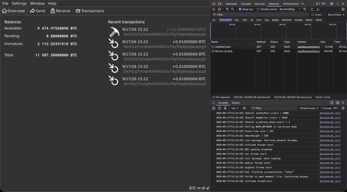 A split-screen screenshot showing an Electrum Bitcoin wallet on the left with balances and pending transactions, and browser developer tools displaying a 'petition.pet' API endpoint and console logs on the right.