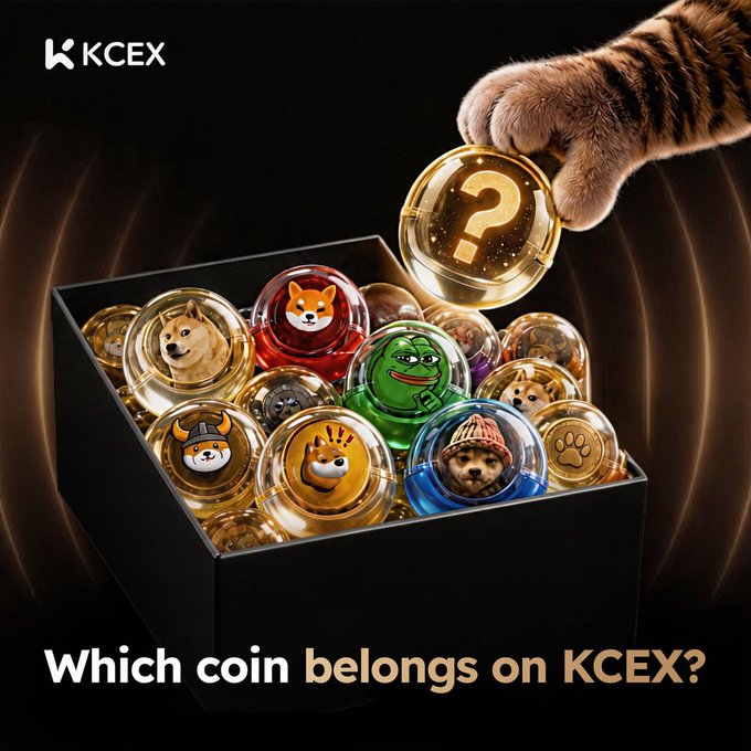A promotional advertisement for KCEX featuring a cat's paw reaching toward gold coins adorned with various meme characters, with the text "Which coin belongs on KCEX?"