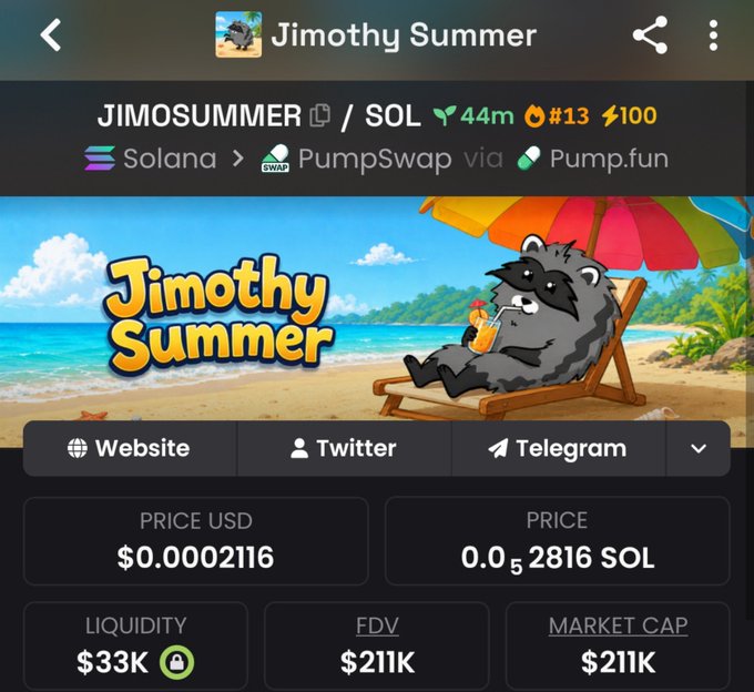 Screenshot of a Solana token tracker page for "Jimothy Summer" ($JIMOSUMMER), showing a cartoon raccoon lounging on a beach chair under an umbrella, with key metrics including a price of $0.0002116 USD (0.00000052816 SOL), market cap of $211K, liquidity of $33K, and FDV of $211K, matching the post's stated 3x gain and MCAP figures.