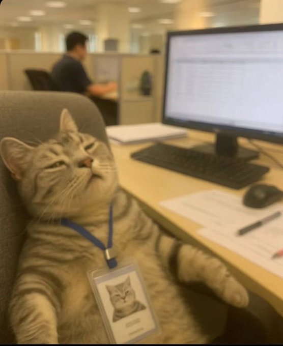 A cat sits at an office desk wearing an employee ID badge on a lanyard, leaning back in a chair with eyes half-closed beside a computer monitor.