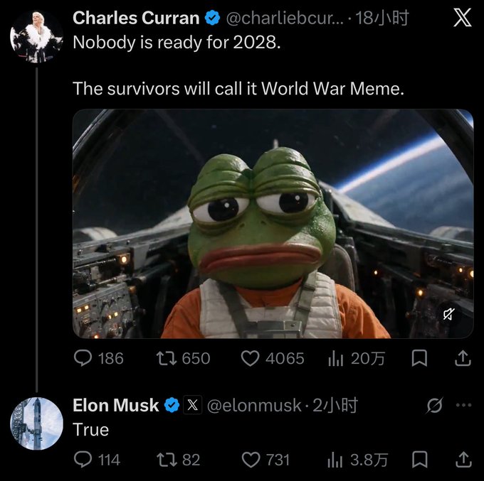 A screenshot of a post by Charles Curran (@charliebcurran) reading "Nobody is ready for 2028. The survivors will call it World War Meme," accompanied by a video of Pepe the Frog in a Star Wars-style cockpit, with Elon Musk (@elonmusk) replying "True" beneath it.