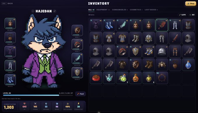 A video game inventory screen displays a character named 'HAJEDAN', a wolf-like figure wearing a purple suit at level 45, alongside various equipment and consumable items.