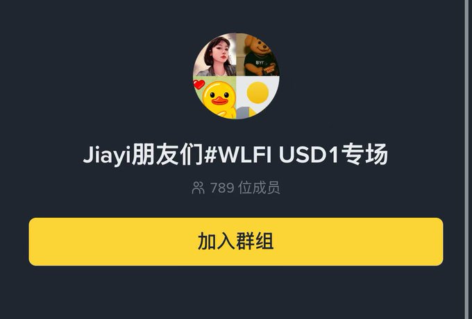 A group chat or community header titled 'Jiayi朋友们#WLFI USD1专场' showing 789 members ('789 位成员') with a yellow '加入群组' (Join Group) button and profile pictures of users including one with a 'BYF' cap.