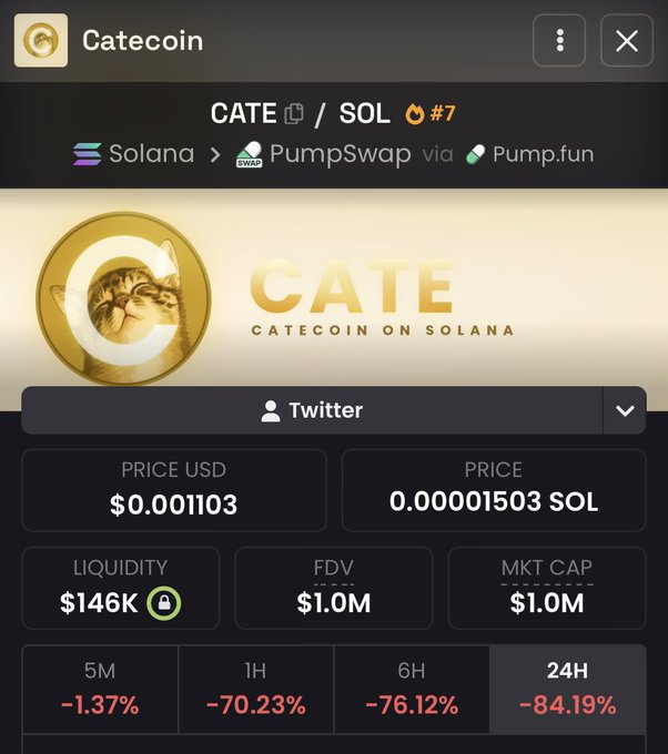 The image shows a token page for CATE (Catecoin) on Solana/PumpSwap, displaying a price of $0.001103 with a market cap and FDV of $1.0M and liquidity of $146K, alongside steep losses across all timeframes (-1.37% at 5M, -84.19% at 24H). The post highlights suspicion that the DEX is underreporting CATE's true market cap, claiming it's actually $3M rather than the $1.0M shown in this screenshot.