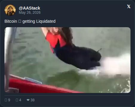The image shows a woman wearing a red shirt, diving into a body of water while holding onto a rope attached to a boat. The caption below the image reads "Short sellers getting liquidated in real time This is what happens when you bet against #SoundMoney with borrowed fiat Leverage is a tool". The post seems to be promoting Bitcoin and cryptocurrency trading, as it mentions short selling and leverage.