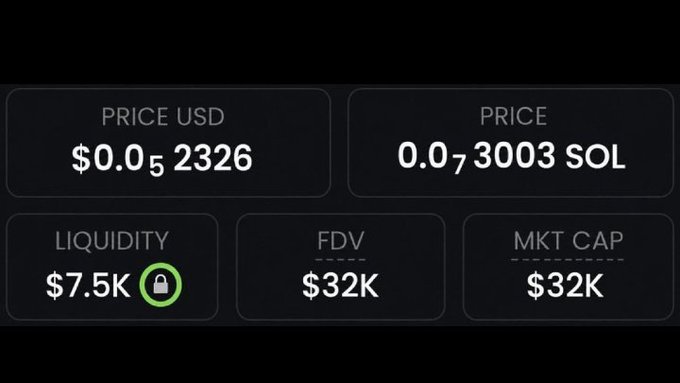 A dark-themed crypto token metrics dashboard displays a token priced at $0.0₅2326 (0.0₇3003 SOL) with $7.5K locked liquidity, $32K FDV, and $32K market cap. The extremely low price and small market cap visually support the post's claim of a potential "1000x runner" meme coin.