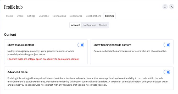 A screenshot of a 'Profile hub' settings page showing toggles enabled for 'Show mature content', 'Show flashing hazards content', and 'Advanced mode'.