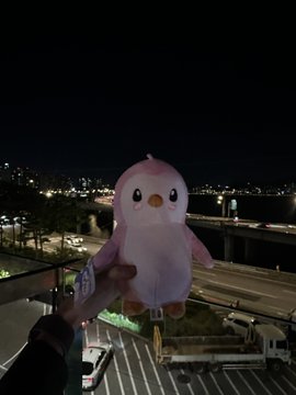 A hand holds up a pink penguin plush toy at night against a city skyline view.