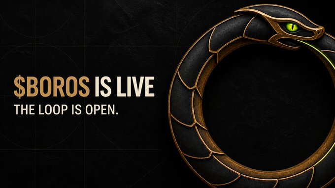 A promotional graphic announcing "$BOROS IS LIVE - THE LOOP IS OPEN" featuring an ouroboros (serpent eating its own tail) illustration in black and gold, with a glowing green eye, visually representing the cyclical nature of the BOROS leveraged trading platform launch.