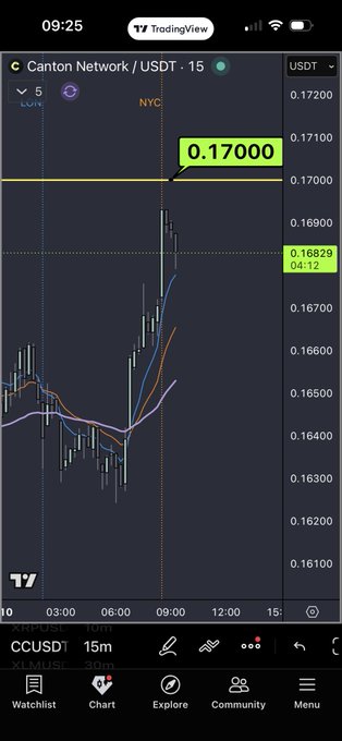 The image shows an Excel chart displayed on a cell phone screen, which appears to be tracking Bitcoin prices. A caption indicates that there has been one instance where Bitcoin reached 100 cents for 1 dollar. The text also mentions "a large player sitting at $0.17 now" and "a passive seller has enough volume to". The focus of the image is analyzing this specific chart from a particular perspective related to Bitcoin market trading, with an emphasis on the number 0.17 in the context of a large price movement.